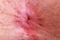 ATK hairy Stacey Barnes Set