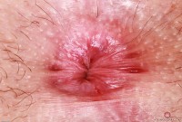 ATK hairy Stacey Barnes Set