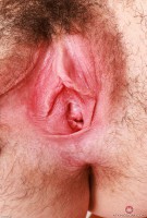 ATK hairy Stacey Barnes Set