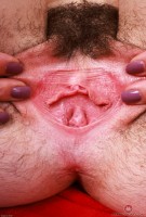 ATK hairy Stacey Barnes Set