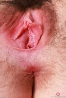 ATK hairy Stacey Barnes in young and hairy