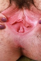 ATK hairy Stacey Barnes Set