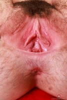 ATK hairy Stacey Barnes Set