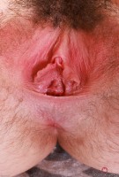ATK hairy Stacey Barnes Set