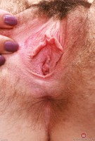 ATK hairy Stacey Barnes Set