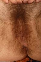 ATK hairy Stella in scary hairy