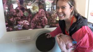 ATK Aunt Judys  in Virtual vacation