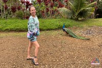 ATK Girlfriends Summer Vixen Set