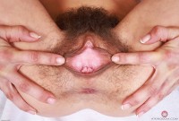 ATK hairy Summer Vixen Set