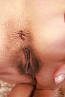 ATK hairy Summer Vixen Set