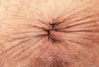 ATK hairy Summer Vixen Set