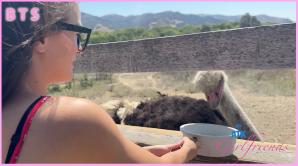 Girlfriend Summer Renee Video