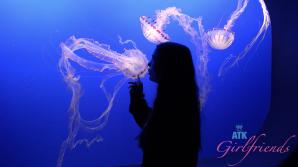 ATK Aunt Judys  in Virtual vacation