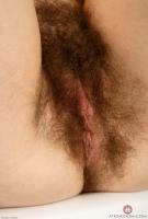 ATK hairy Sunshine Set