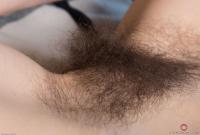 ATK hairy Sunshine Set