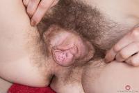 ATK hairy Sunshine Set