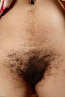 ATK hairy Sunny Set