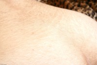 ATK hairy Sunny in scary hairy