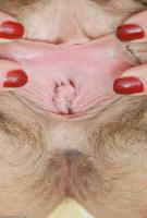 ATK hairy Susanna Set