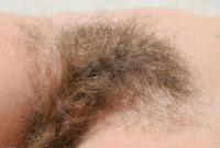ATK hairy  in scary hairy