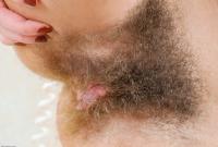 ATK hairy  in scary hairy