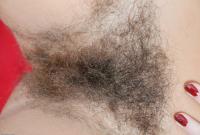 ATK hairy Susanna Set