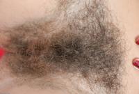 ATK hairy  in scary hairy