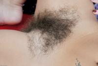 ATK hairy Susanna Set