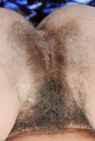 ATK hairy Susanna Set