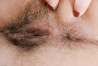 ATK hairy  in scary hairy