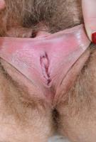 ATK hairy Susanna Set