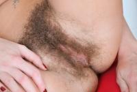 ATK hairy Susanna Set