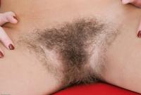 ATK hairy  in scary hairy