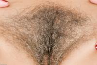 ATK hairy Susanna Set