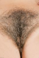 ATK hairy Susanna Set