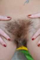 ATK hairy Susanna Set