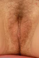 ATK hairy Susie Set