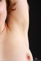 ATK hairy Susan Gordon Set