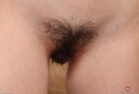 ATK hairy Taffy in young and hairy