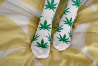 ATK hairy  in scary hairy