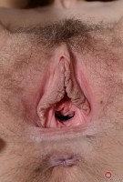 ATK hairy Tali Dova Set