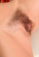 ATK hairy Taniella Set