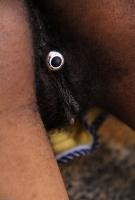 ATK hairy  in hairy fun