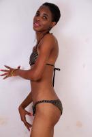ATK hairy  in exotic and hairy