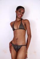 ATK hairy  in exotic and hairy