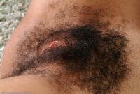 ATK hairy Tatiana Set