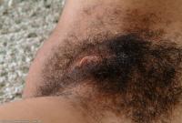 ATK hairy  in exotic and hairy