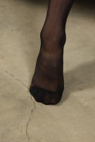 ATK hairy Tatum Graves Set