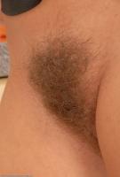 ATK hairy Tea Set