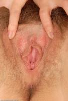 ATK hairy  in scary hairy